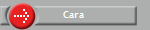 Cara 