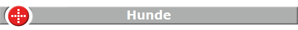 Hunde