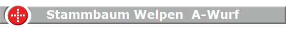 Stammbaum Welpen  A-Wurf