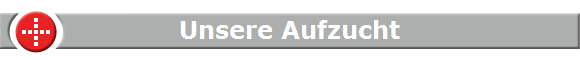 Unsere Aufzucht